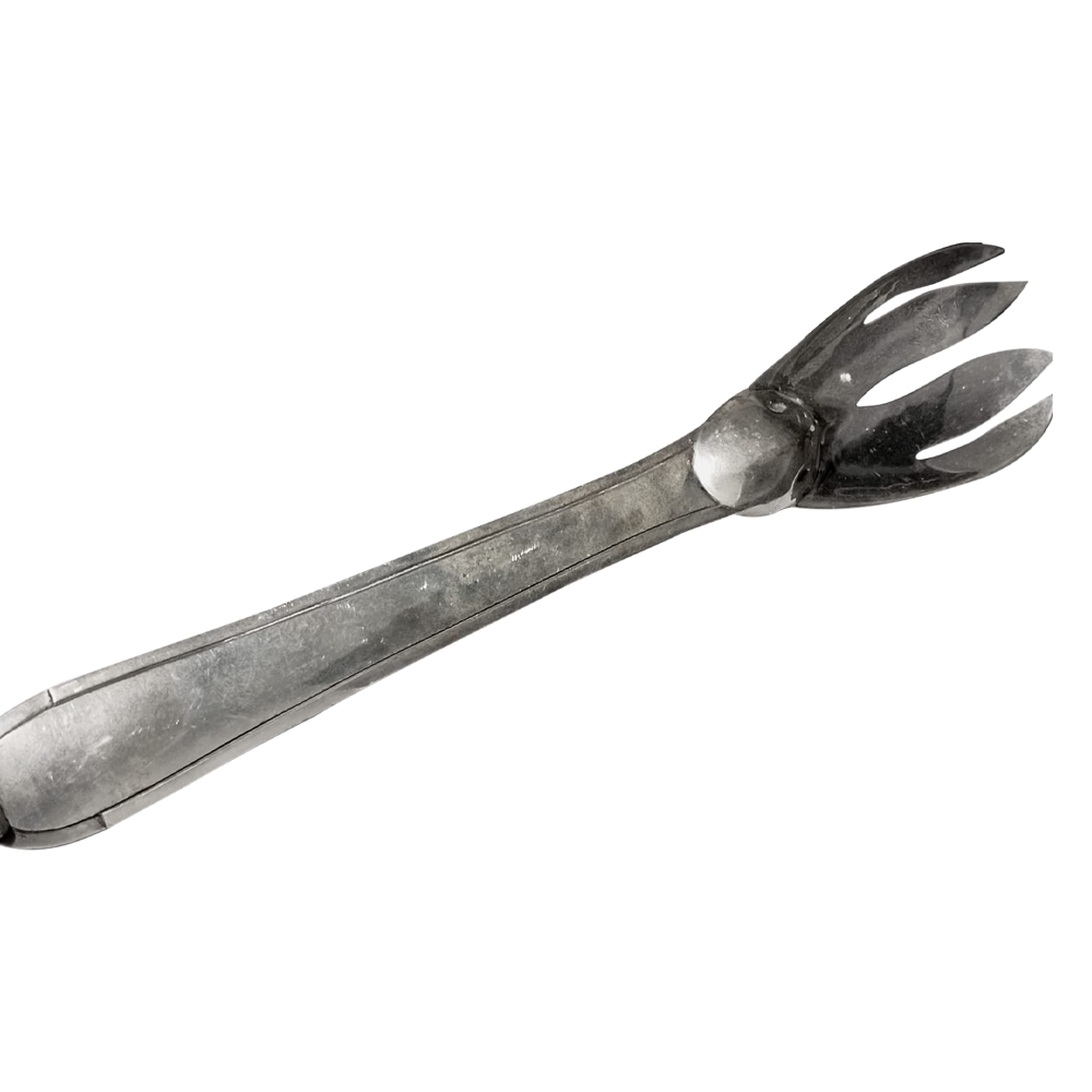 Forked Serving Spoon