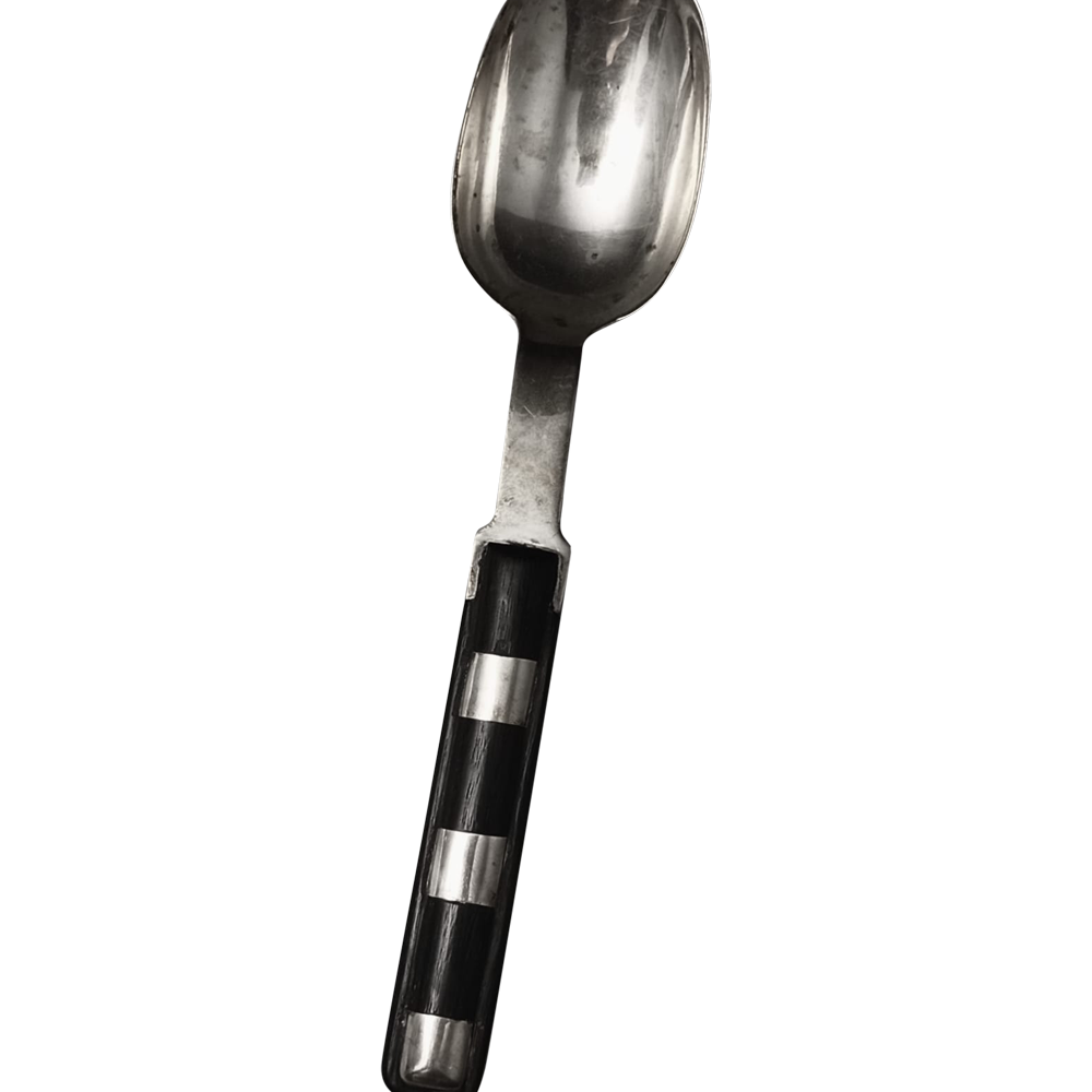 Cuchara con mango de madera 2